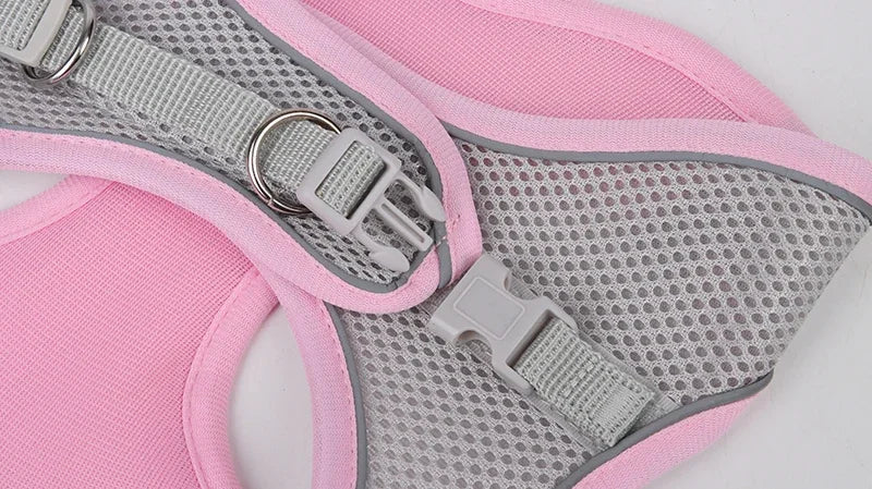 Puppy Harness Set