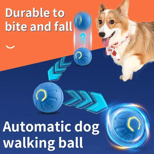 Dog Electronic pet ball