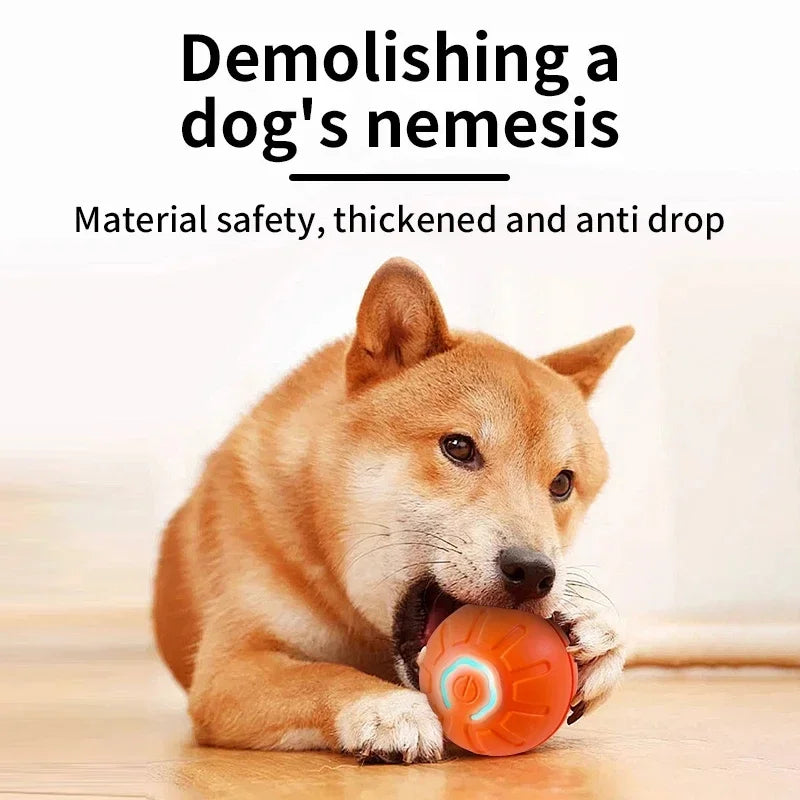 Dog Electronic pet ball