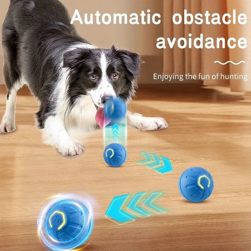 Dog Electronic pet ball