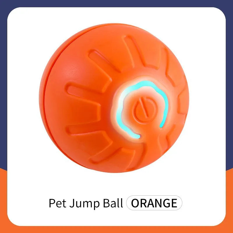 Dog Electronic pet ball