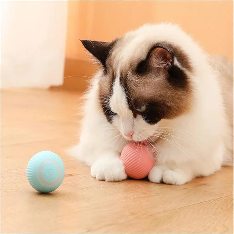 Dog Electronic pet ball