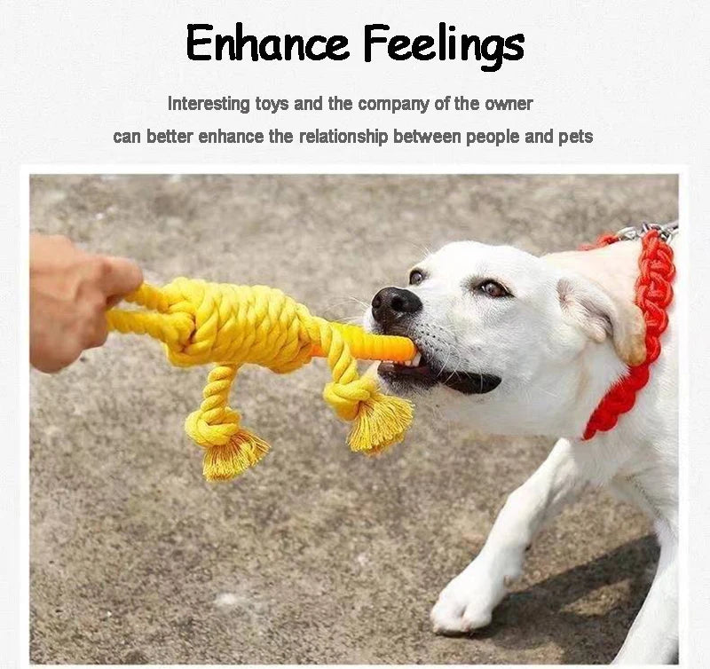 1PC Dog Toy Carrot Knot Rope