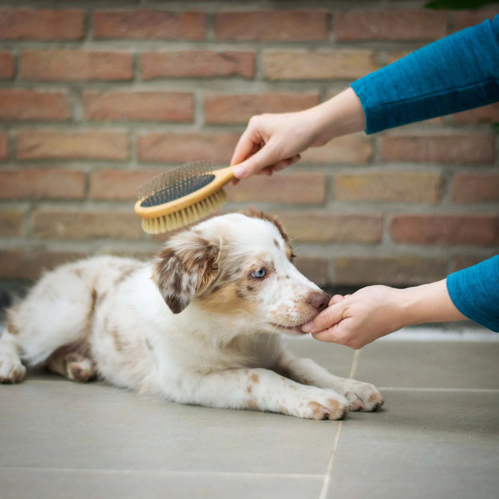 Grooming Supplies