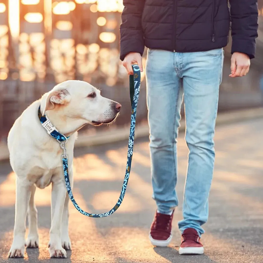 Leashes & Collars