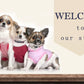 Warm Padded Dog & Cat Winter Coat