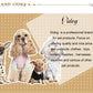 Warm Padded Dog & Cat Winter Coat