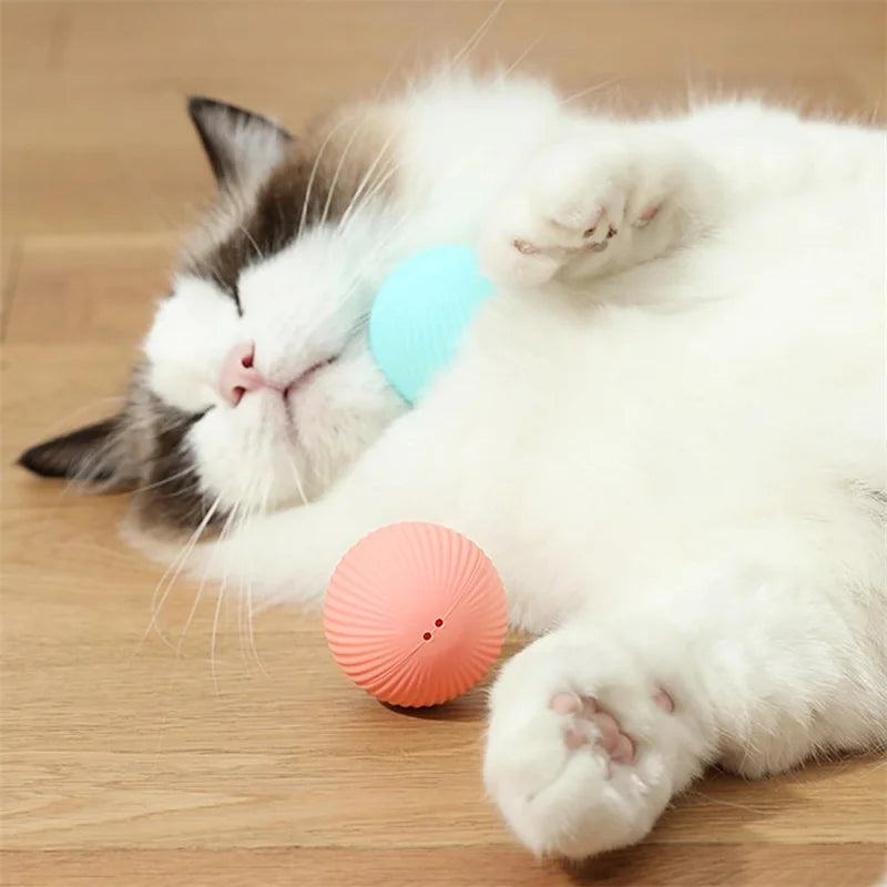 Dog Electronic pet ball