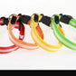 LED Nylon Dog Collar & Leash