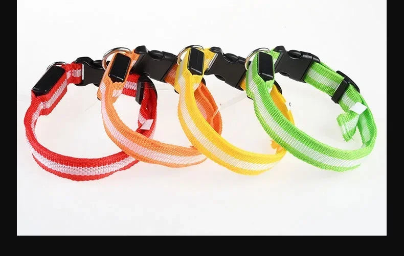 LED Nylon Dog Collar & Leash
