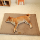 Orthopedic Foam Dog Bed with Faux Fur Cover