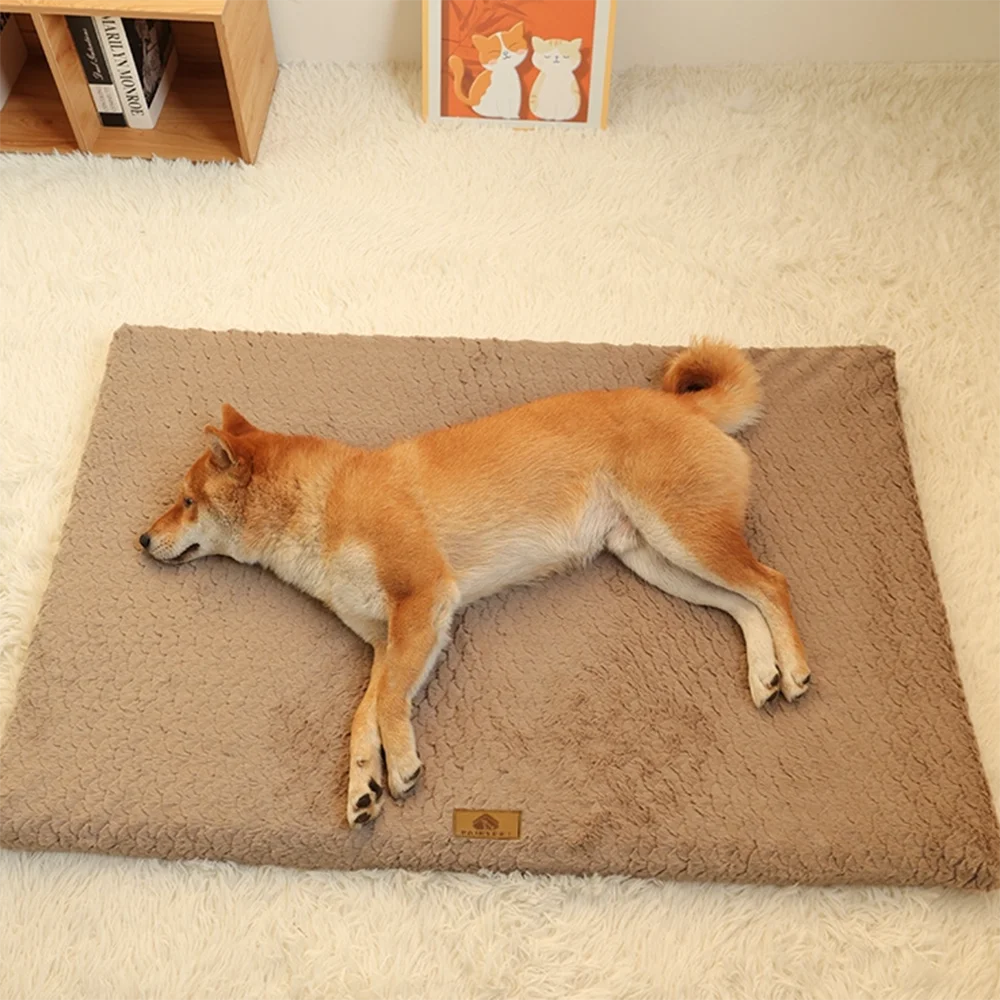 Orthopedic Foam Dog Bed with Faux Fur Cover