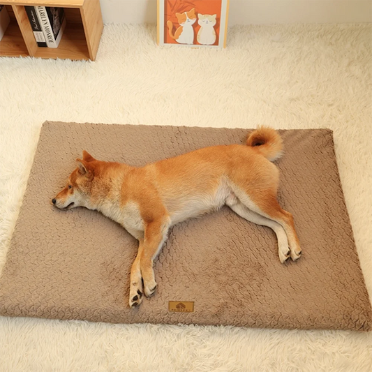 Orthopedic Foam Dog Bed with Faux Fur Cover
