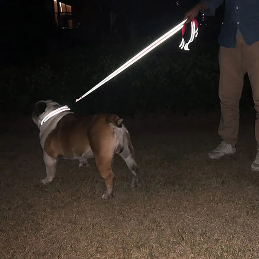 Reflective Pet Harness & Leash