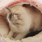Plush Autumn & Winter Pet Bed
