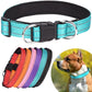 Reflective Padded Dog Collar