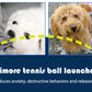 Dog Tennis Ball Launcher