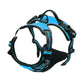 Dog Collars Harness Big Vests