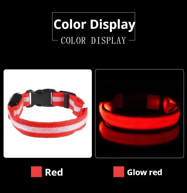 LED Nylon Dog Collar & Leash