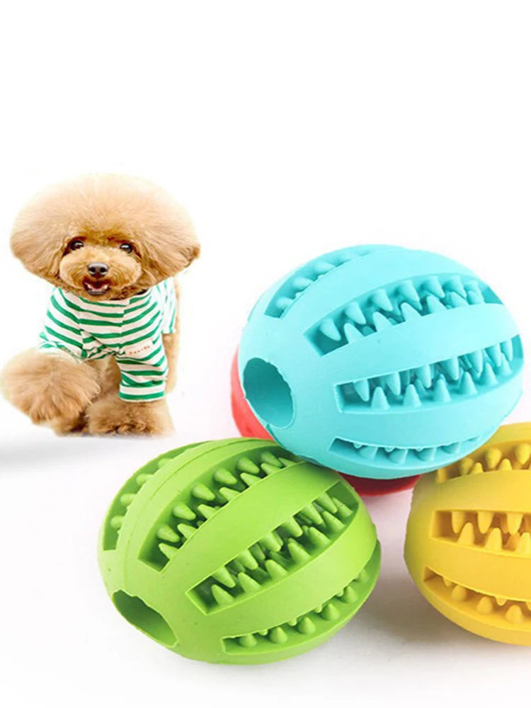 ball toys for dogs