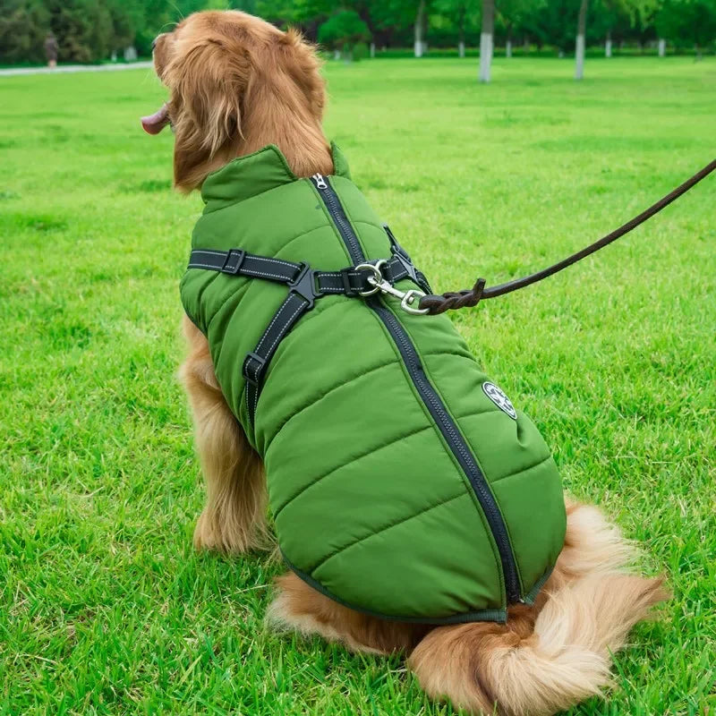Large Dog Winter Jacket with Harness
