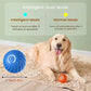 Dog Electronic pet ball
