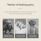 3-in-1 Steam Pet Grooming Brush