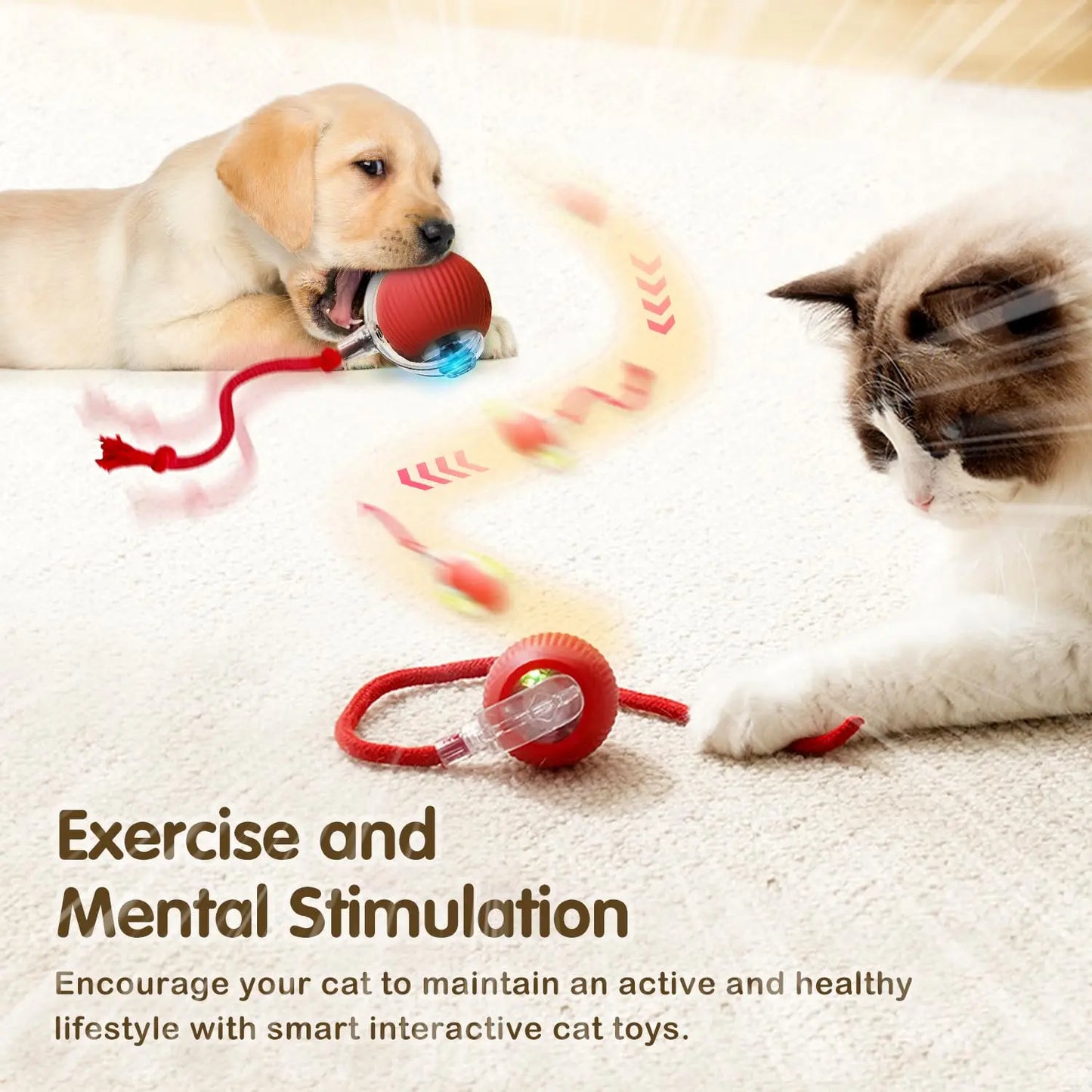 Automatic Rolling Cat Ball Toy