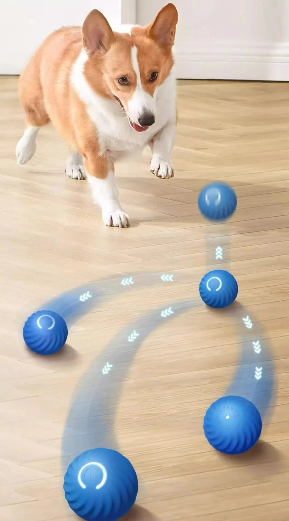 Smart Interactive Dog Toy Ball