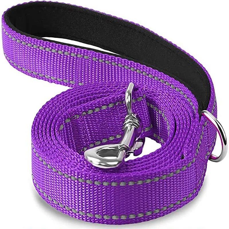Reflective Pet Harness & Leash