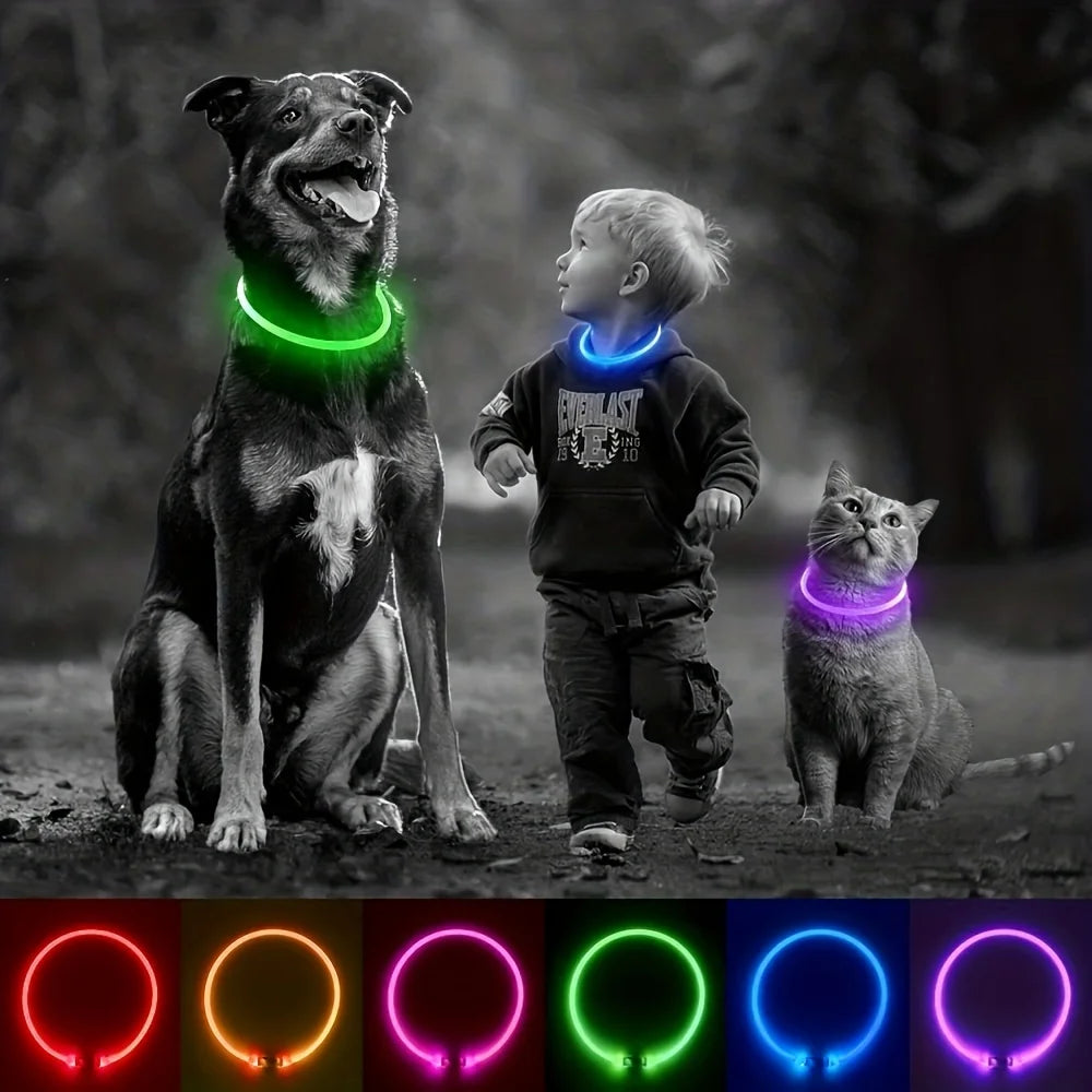 LED Rechargeable Dog Collar