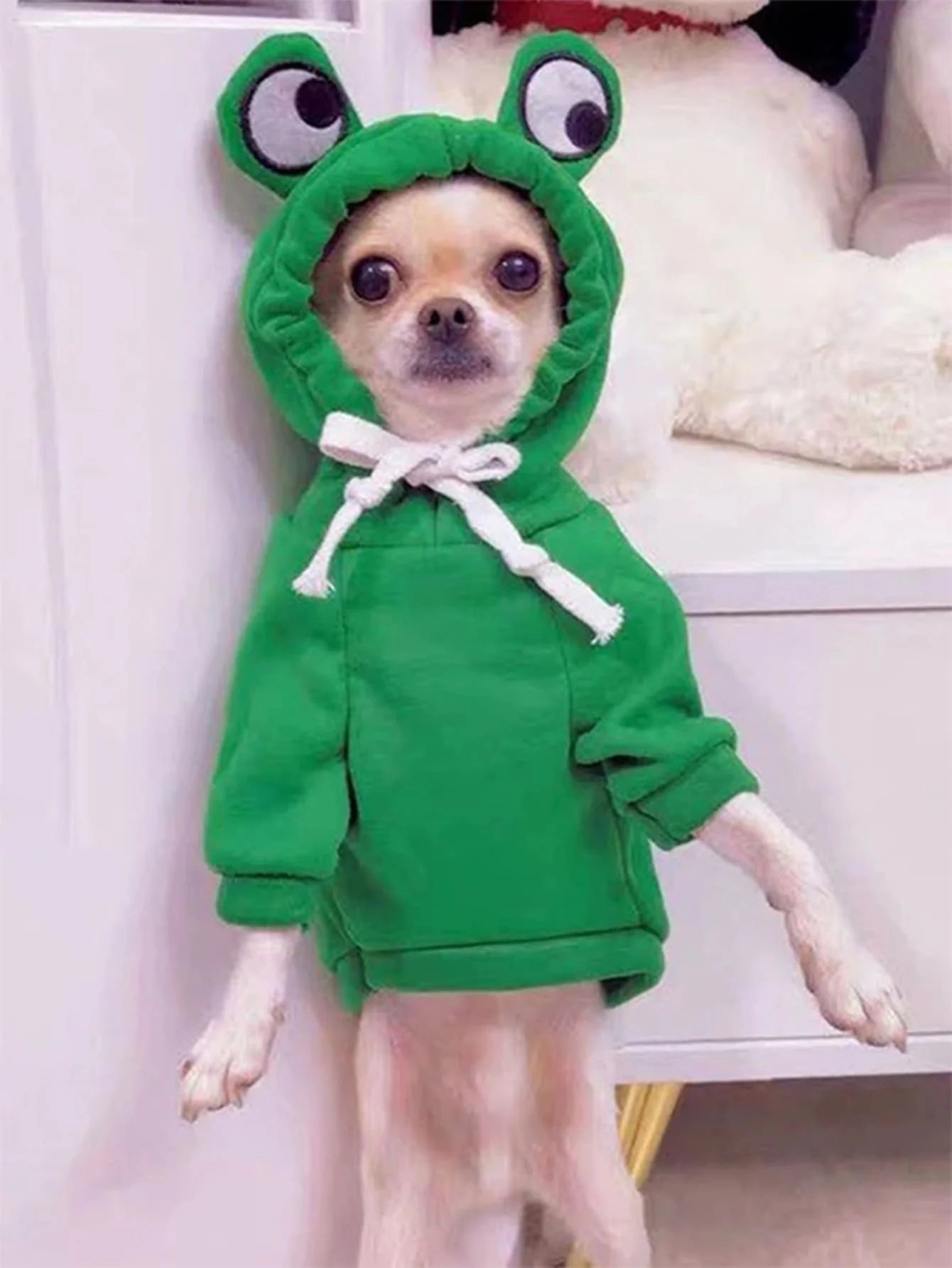 1PC Cute Frog Pet Sweater