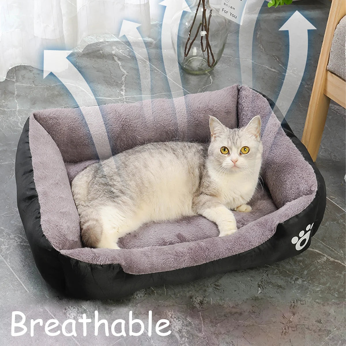Colorful Waterproof Dog & Cat Bed