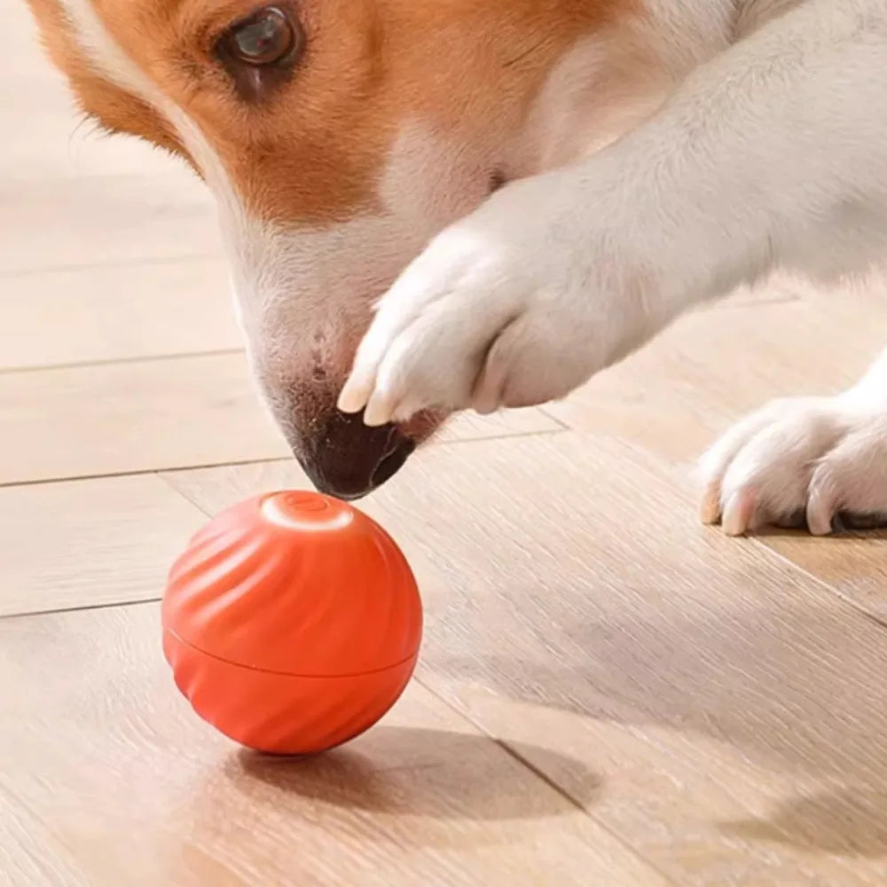 Smart Interactive Dog Toy Ball