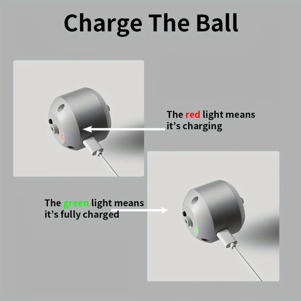 Smart Dog Toy Ball Electronic Interactive Pet Toy