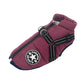 Large Dog Winter Jacket with Harness