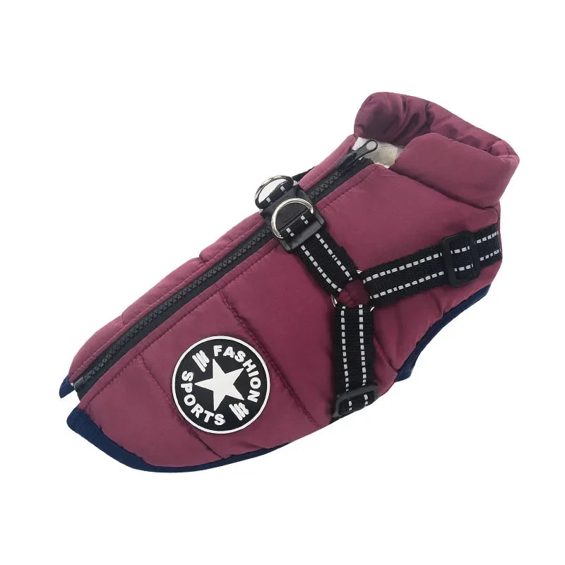 Large Dog Winter Jacket with Harness