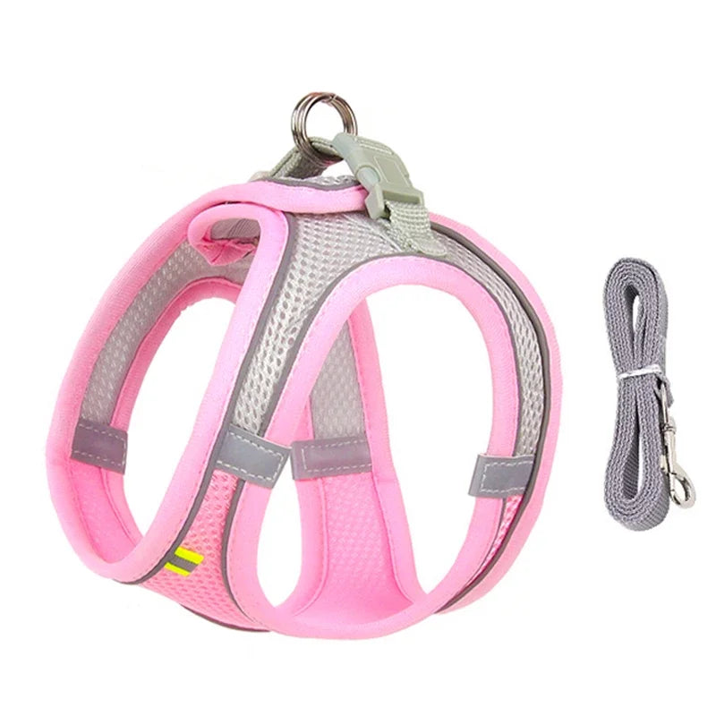 Puppy Harness Set