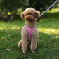 Puppy Harness Set