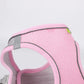 Puppy Harness Set