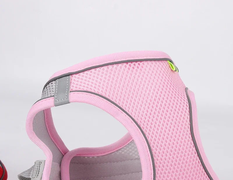 Puppy Harness Set