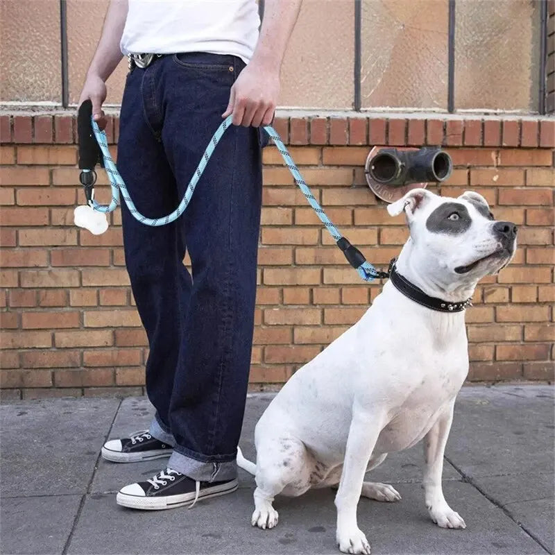 Reflective Padded Dog Leash