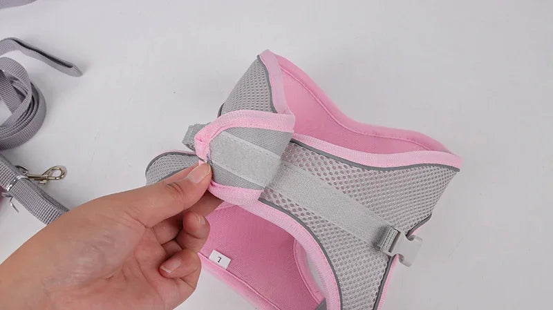 Puppy Harness Set