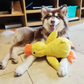 Plush Duck Dog Hug Toy