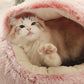 Plush Autumn & Winter Pet Bed
