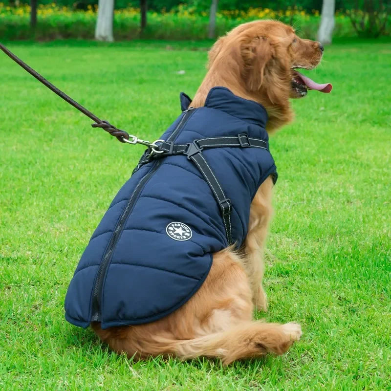 Large Dog Winter Jacket with Harness
