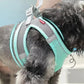 Puppy Harness Set