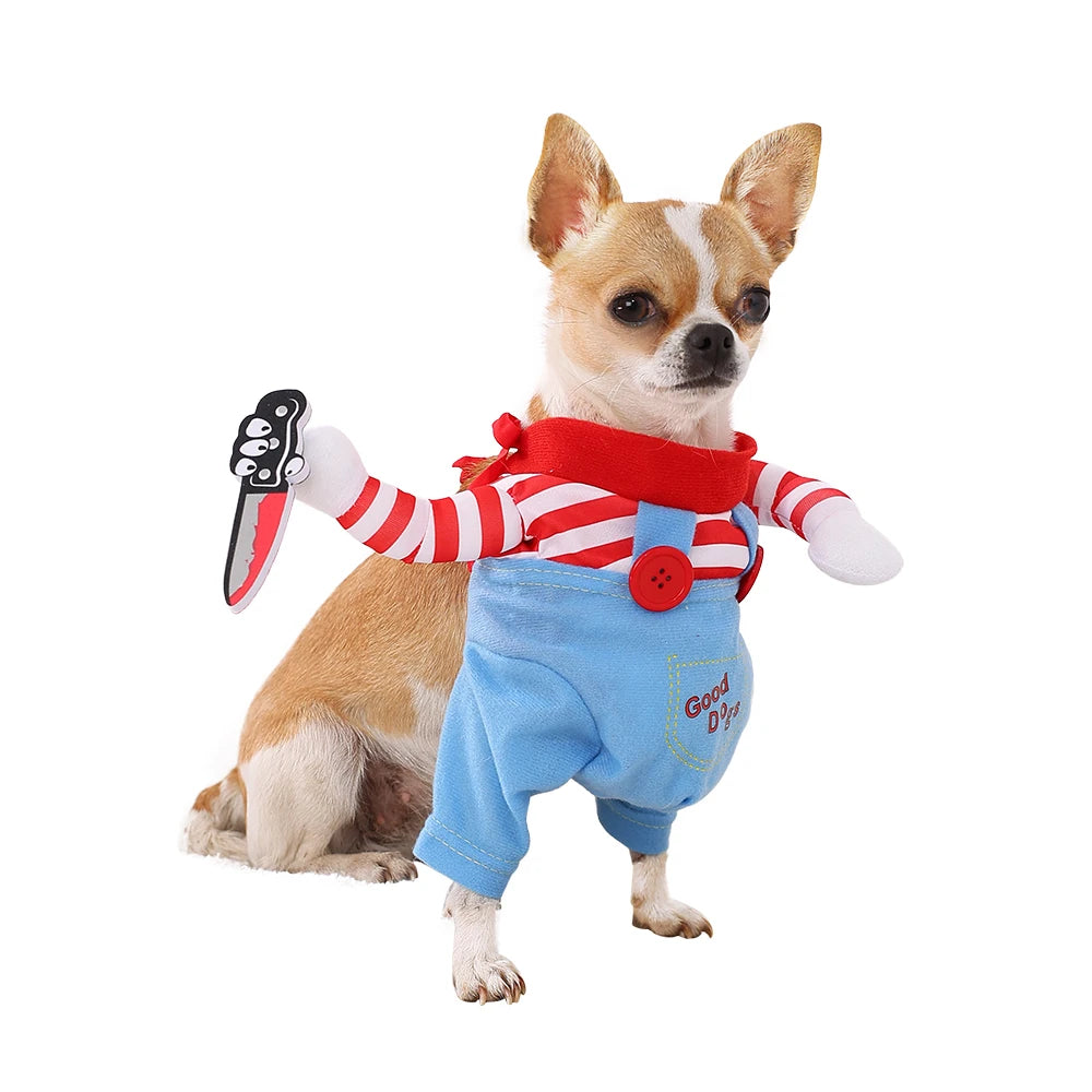 Halloween Dog & Cat Costume