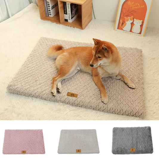 Orthopedic Foam Dog Bed with Faux Fur Cover