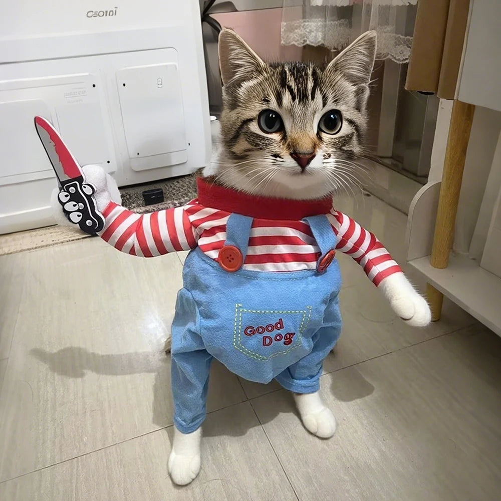 Halloween Dog & Cat Costume